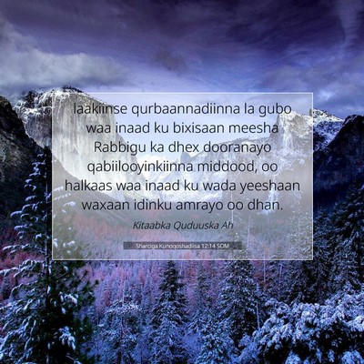 Picture 07 - Sharciga Kunoqoshadiisa 12:14 SOM - laakiinse qurbaannadiinna la gubo waa inaad ku - Bible Verse Picture