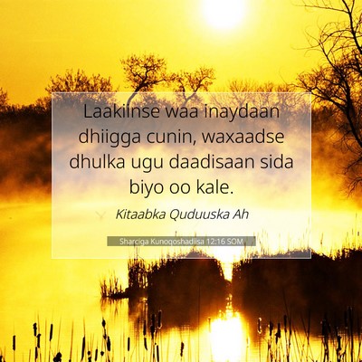 Picture 07 - Sharciga Kunoqoshadiisa 12:16 SOM - Laakiinse waa inaydaan dhiigga cunin, waxaadse - Bible Verse Picture