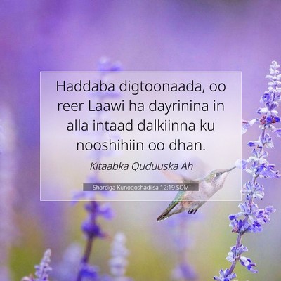 Picture 07 - Sharciga Kunoqoshadiisa 12:19 SOM - Haddaba digtoonaada, oo reer Laawi ha dayrinina - Bible Verse Picture
