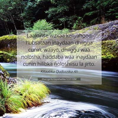 Picture 07 - Sharciga Kunoqoshadiisa 12:23 SOM - Laakiinse waxaa keliyahood hubsataan inaydaan - Bible Verse Picture