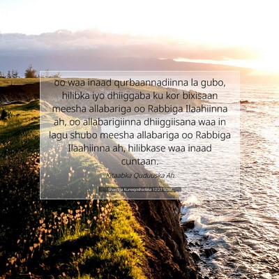 Picture 07 - Sharciga Kunoqoshadiisa 12:27 SOM - oo waa inaad qurbaannadiinna la gubo, hilibka iyo - Bible Verse Picture