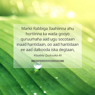 Picture 07 - Sharciga Kunoqoshadiisa 12:29 SOM - Markii Rabbiga Ilaahiinna ahu hortiinna ka wada - Bible Verse Picture