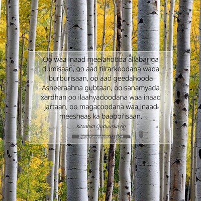 Picture 07 - Sharciga Kunoqoshadiisa 12:3 SOM - Oo waa inaad meelahooda allabariga dumisaan, oo - Bible Verse Picture
