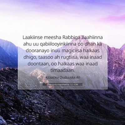 Picture 07 - Sharciga Kunoqoshadiisa 12:5 SOM - Laakiinse meesha Rabbiga Ilaahiinna ahu uu - Bible Verse Picture