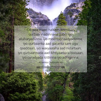Picture 07 - Sharciga Kunoqoshadiisa 12:6 SOM - Oo waa inaad halkaas keentaan qurbaannadiinna la - Bible Verse Picture