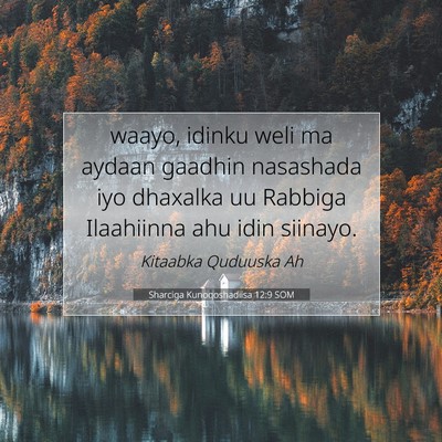 Picture 07 - Sharciga Kunoqoshadiisa 12:9 SOM - waayo, idinku weli ma aydaan gaadhin nasashada - Bible Verse Picture