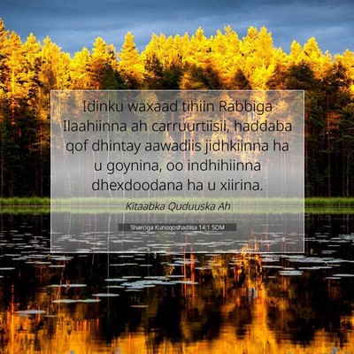 Picture 07 - Sharciga Kunoqoshadiisa 14:1 SOM - Idinku waxaad tihiin Rabbiga Ilaahiinna ah - Bible Verse Picture