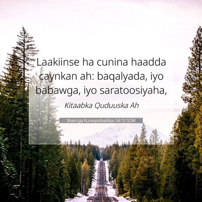 Picture 07 - Sharciga Kunoqoshadiisa 14:12 SOM - Laakiinse ha cunina haadda caynkan ah: baqalyada, - Bible Verse Picture