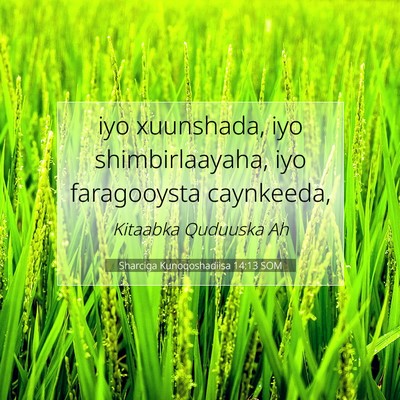 Picture 07 - Sharciga Kunoqoshadiisa 14:13 SOM - iyo xuunshada, iyo shimbirlaayaha, iyo - Bible Verse Picture