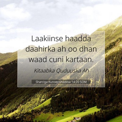 Picture 07 - Sharciga Kunoqoshadiisa 14:20 SOM - Laakiinse haadda daahirka ah oo dhan waad cuni - Bible Verse Picture