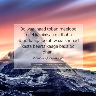 Picture 07 - Sharciga Kunoqoshadiisa 14:22 SOM - Oo waa inaad toban meelood meel ka bixisaa - Bible Verse Picture