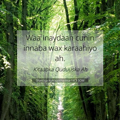 Picture 07 - Sharciga Kunoqoshadiisa 14:3 SOM - Waa inaydaan cunin innaba wax karaahiyo - Bible Verse Picture