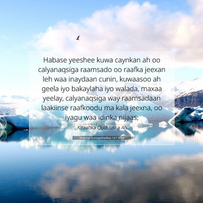 Picture 07 - Sharciga Kunoqoshadiisa 14:7 SOM - Habase yeeshee kuwa caynkan ah oo calyanaqsiga - Bible Verse Picture