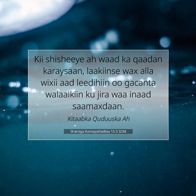Picture 07 - Sharciga Kunoqoshadiisa 15:3 SOM - Kii shisheeye ah waad ka qaadan karaysaan, - Bible Verse Picture