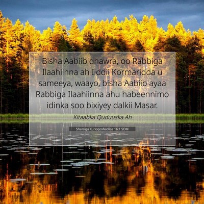 Picture 07 - Sharciga Kunoqoshadiisa 16:1 SOM - Bisha Aabiib dhawra, oo Rabbiga Ilaahiinna ah - Bible Verse Picture