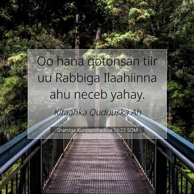 Picture 07 - Sharciga Kunoqoshadiisa 16:22 SOM - Oo hana qotonsan tiir uu Rabbiga Ilaahiinna ahu - Bible Verse Picture