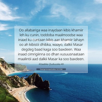 Picture 07 - Sharciga Kunoqoshadiisa 16:3 SOM - Oo allabariga waa inaydaan kibis khamiir leh ku - Bible Verse Picture