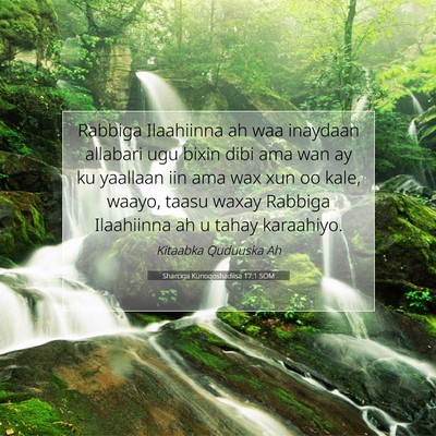 Picture 07 - Sharciga Kunoqoshadiisa 17:1 SOM - Rabbiga Ilaahiinna ah waa inaydaan allabari ugu - Bible Verse Picture