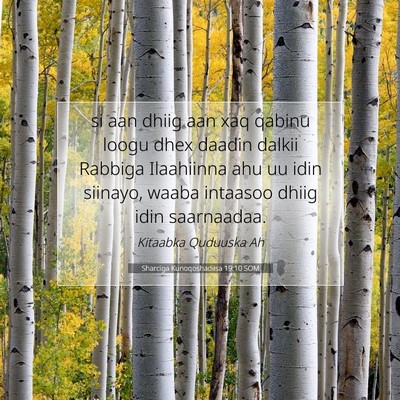 Picture 07 - Sharciga Kunoqoshadiisa 19:10 SOM - si aan dhiig aan xaq qabinu loogu dhex daadin - Bible Verse Picture