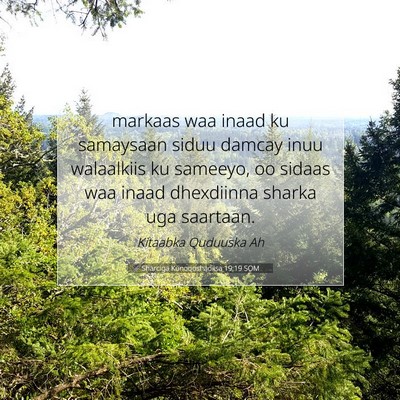 Picture 07 - Sharciga Kunoqoshadiisa 19:19 SOM - markaas waa inaad ku samaysaan siduu damcay inuu - Bible Verse Picture