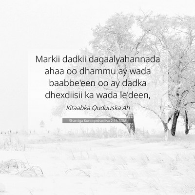 Picture 07 - Sharciga Kunoqoshadiisa 2:16 SOM - Markii dadkii dagaalyahannada ahaa oo dhammu ay - Bible Verse Picture