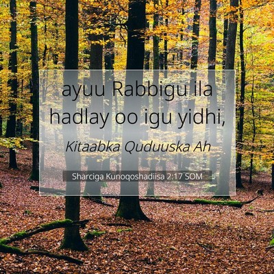 Picture 07 - Sharciga Kunoqoshadiisa 2:17 SOM - ayuu Rabbigu ila hadlay oo igu - Bible Verse Picture