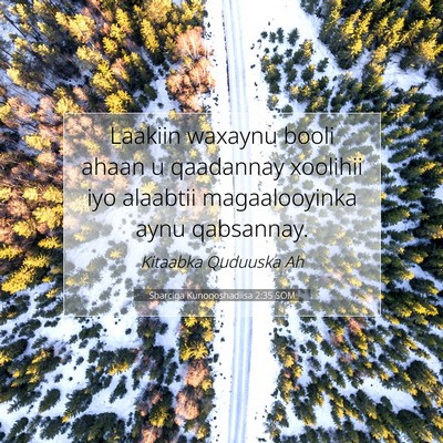 Picture 07 - Sharciga Kunoqoshadiisa 2:35 SOM - Laakiin waxaynu booli ahaan u qaadannay xoolihii - Bible Verse Picture