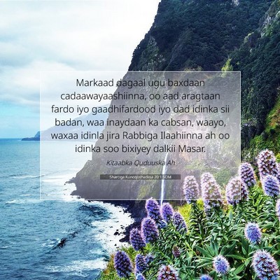 Picture 07 - Sharciga Kunoqoshadiisa 20:1 SOM - Markaad dagaal ugu baxdaan cadaawayaashiinna, oo - Bible Verse Picture
