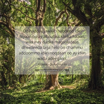 Picture 07 - Sharciga Kunoqoshadiisa 20:11 SOM - Oo hadday jawaab nabdeed idin siiyaan oo ay - Bible Verse Picture