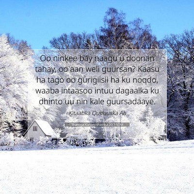 Picture 07 - Sharciga Kunoqoshadiisa 20:7 SOM - Oo ninkee bay naagu u doonan tahay, oo aan weli - Bible Verse Picture