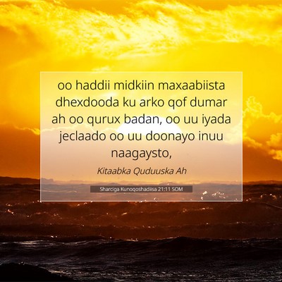 Picture 07 - Sharciga Kunoqoshadiisa 21:11 SOM - oo haddii midkiin maxaabiista dhexdooda ku arko - Bible Verse Picture