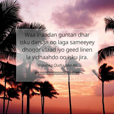 Picture 07 - Sharciga Kunoqoshadiisa 22:11 SOM - Waa inaadan guntan dhar isku darsan oo laga - Bible Verse Picture