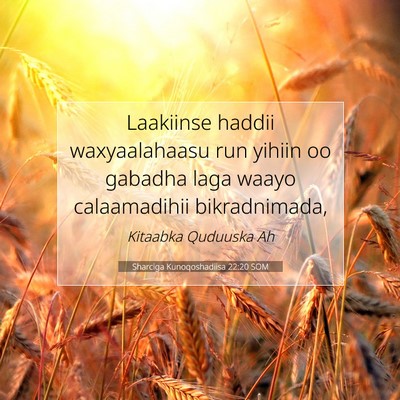 Picture 07 - Sharciga Kunoqoshadiisa 22:20 SOM - Laakiinse haddii waxyaalahaasu run yihiin oo - Bible Verse Picture