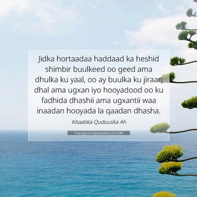 Picture 07 - Sharciga Kunoqoshadiisa 22:6 SOM - Jidka hortaadaa haddaad ka heshid shimbir - Bible Verse Picture