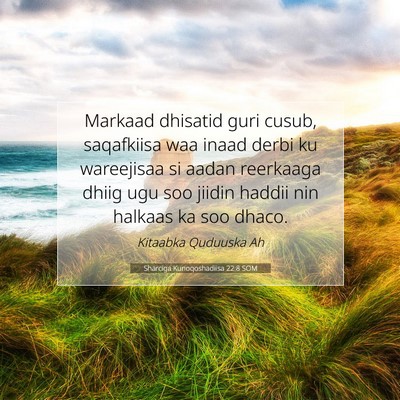 Picture 07 - Sharciga Kunoqoshadiisa 22:8 SOM - Markaad dhisatid guri cusub, saqafkiisa waa inaad - Bible Verse Picture