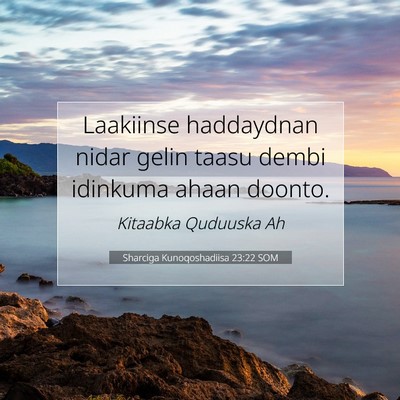 Picture 07 - Sharciga Kunoqoshadiisa 23:22 SOM - Laakiinse haddaydnan nidar gelin taasu dembi - Bible Verse Picture