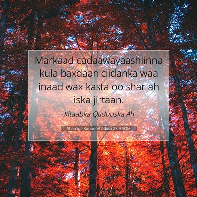 Picture 07 - Sharciga Kunoqoshadiisa 23:9 SOM - Markaad cadaawayaashiinna kula baxdaan ciidanka - Bible Verse Picture