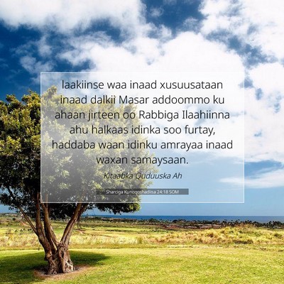 Picture 07 - Sharciga Kunoqoshadiisa 24:18 SOM - laakiinse waa inaad xusuusataan inaad dalkii - Bible Verse Picture