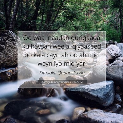Picture 07 - Sharciga Kunoqoshadiisa 25:14 SOM - Oo waa inaadan gurigaaga ku haysan weelal - Bible Verse Picture