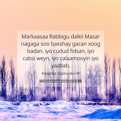 Picture 07 - Sharciga Kunoqoshadiisa 26:8 SOM - Markaasaa Rabbigu dalkii Masar nagaga soo baxshay - Bible Verse Picture
