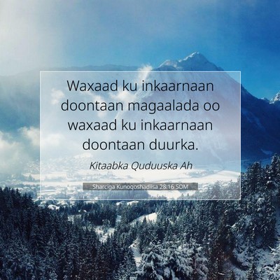 Picture 07 - Sharciga Kunoqoshadiisa 28:16 SOM - Waxaad ku inkaarnaan doontaan magaalada oo waxaad - Bible Verse Picture