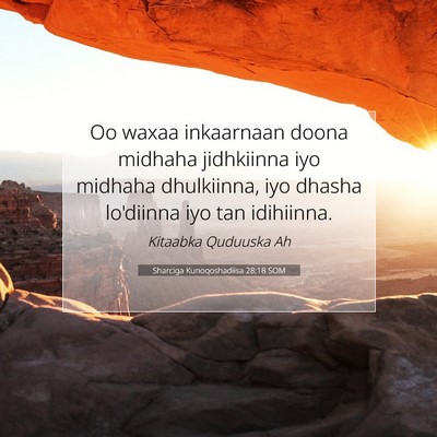 Picture 07 - Sharciga Kunoqoshadiisa 28:18 SOM - Oo waxaa inkaarnaan doona midhaha jidhkiinna iyo - Bible Verse Picture