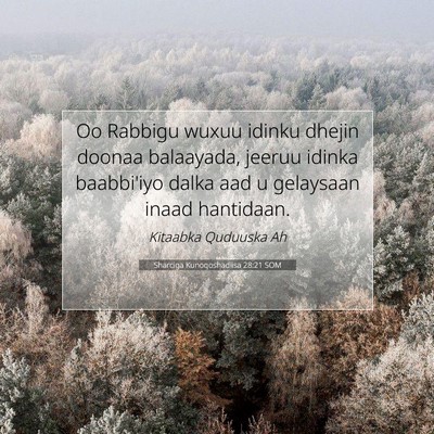 Picture 07 - Sharciga Kunoqoshadiisa 28:21 SOM - Oo Rabbigu wuxuu idinku dhejin doonaa balaayada, - Bible Verse Picture