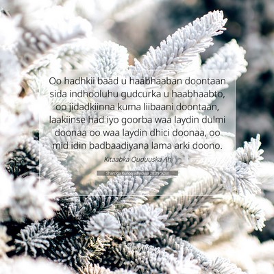 Picture 07 - Sharciga Kunoqoshadiisa 28:29 SOM - Oo hadhkii baad u haabhaaban doontaan sida - Bible Verse Picture