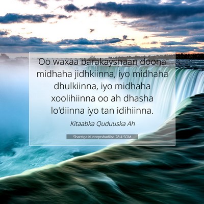 Picture 07 - Sharciga Kunoqoshadiisa 28:4 SOM - Oo waxaa barakaysnaan doona midhaha jidhkiinna, - Bible Verse Picture