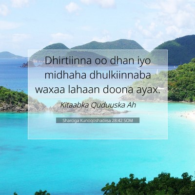 Picture 07 - Sharciga Kunoqoshadiisa 28:42 SOM - Dhirtiinna oo dhan iyo midhaha dhulkiinnaba waxaa - Bible Verse Picture