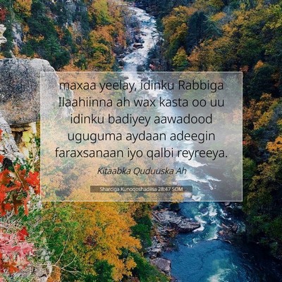 Picture 07 - Sharciga Kunoqoshadiisa 28:47 SOM - maxaa yeelay, idinku Rabbiga Ilaahiinna ah wax - Bible Verse Picture