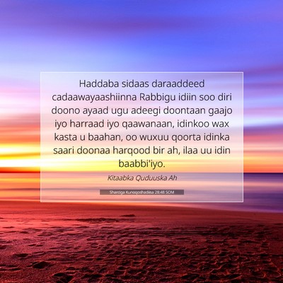 Picture 07 - Sharciga Kunoqoshadiisa 28:48 SOM - Haddaba sidaas daraaddeed cadaawayaashiinna - Bible Verse Picture