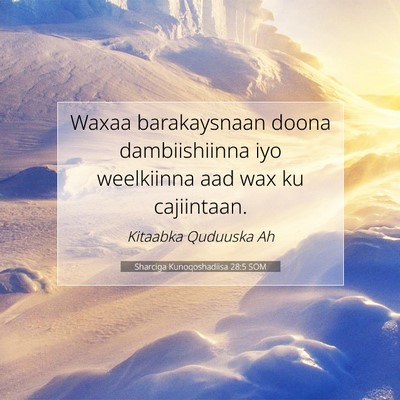 Picture 07 - Sharciga Kunoqoshadiisa 28:5 SOM - Waxaa barakaysnaan doona dambiishiinna iyo - Bible Verse Picture