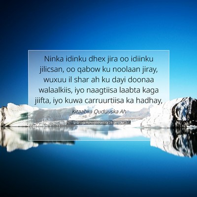 Picture 07 - Sharciga Kunoqoshadiisa 28:54 SOM - Ninka idinku dhex jira oo idiinku jilicsan, oo - Bible Verse Picture